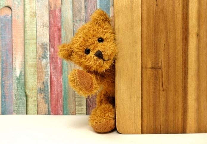 200+ Names for a Teddy Bear - The Best Stuffed Bear Names
