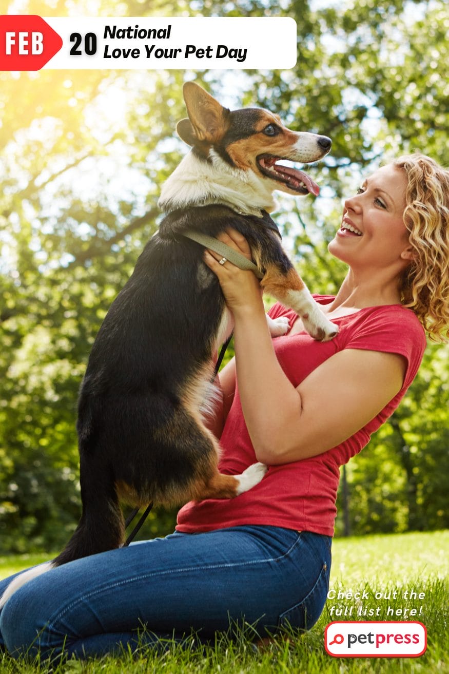 12 Dog Holidays in 2022 That Every Pet Owner Needs to Know