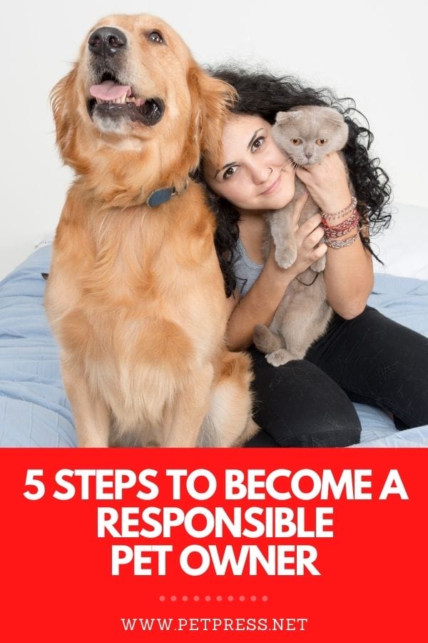 5 steps to become a responsible pet owner