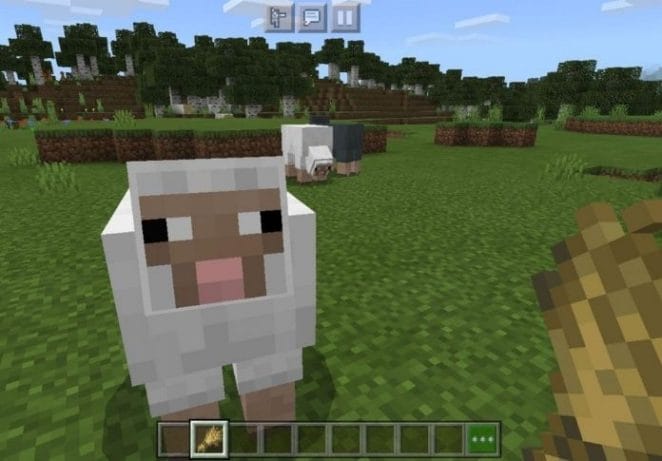 Best Minecraft Sheep Names