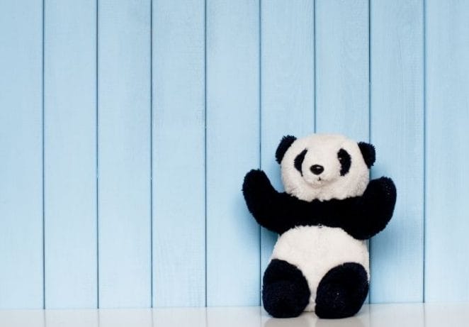Male Stuffed Panda Names