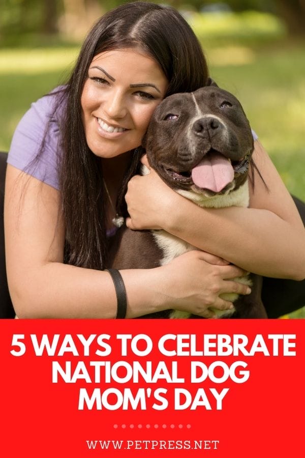 5 Special Ways to Celebrate National Dog Mom's Day