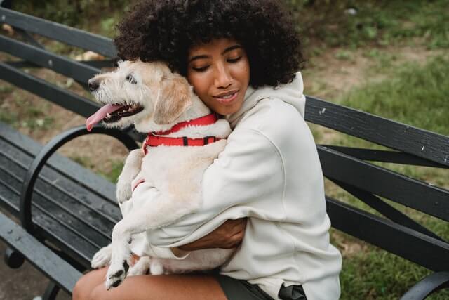 Pet Health