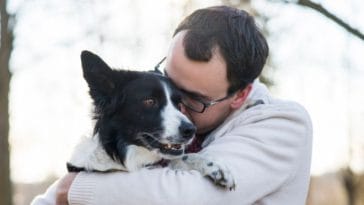 Responsible Animal Guardian Month - 5 Steps to Become a Responsible Pet Owner