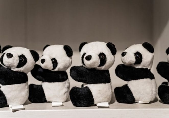 Weird Names for Stuffed Panda Animals