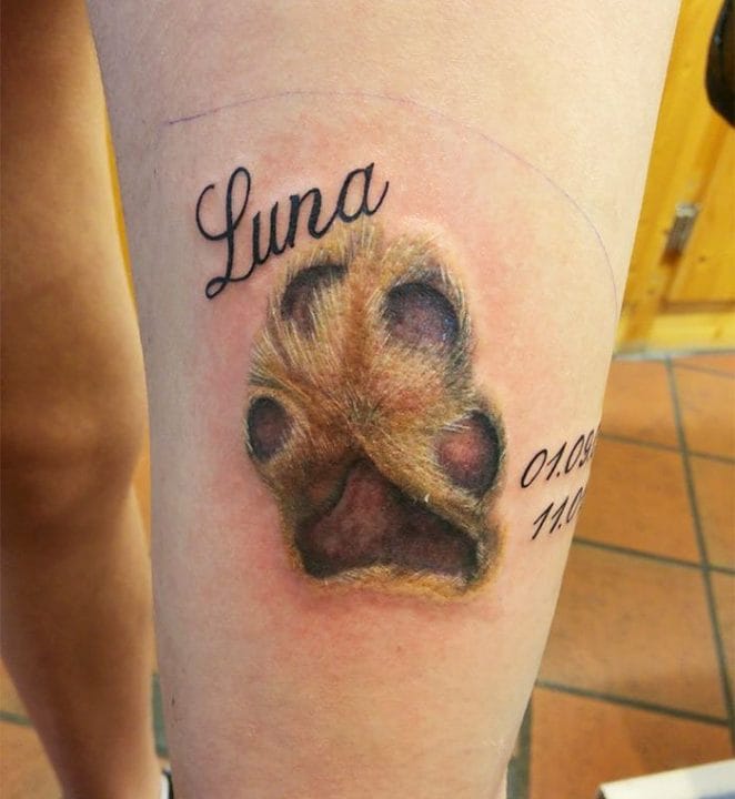 brown-dog-paw-print-tattoo