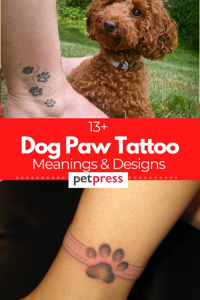 dog-paw-tattoo