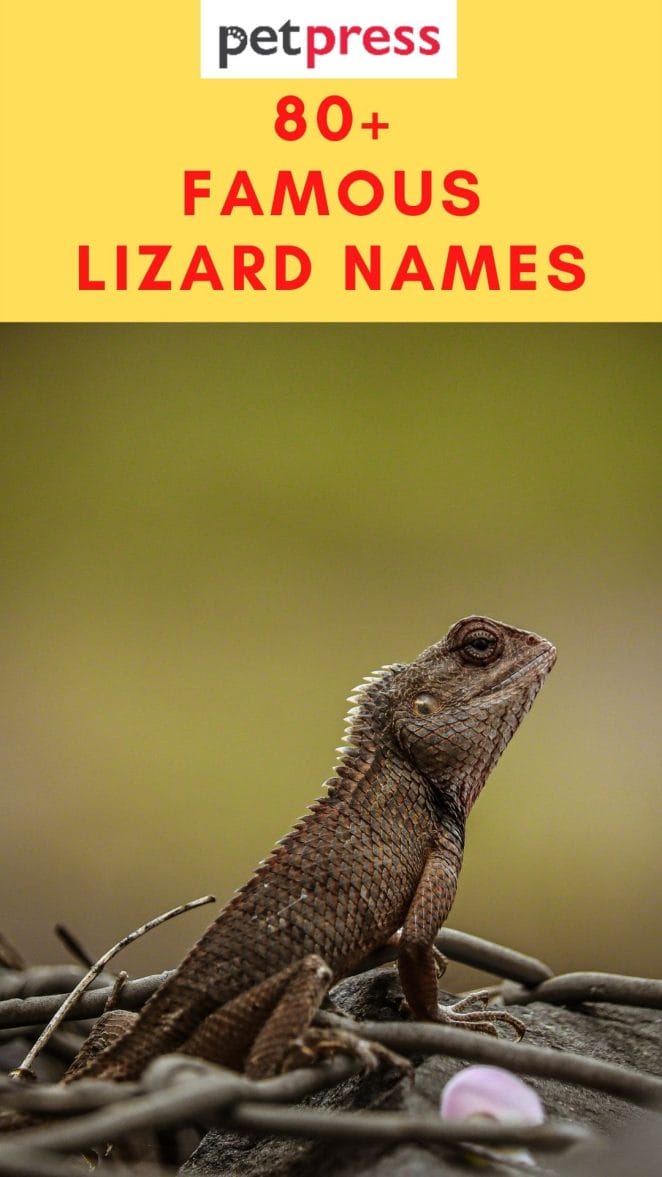 famous-lizard-names