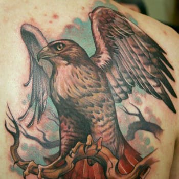 hawk spirit animal tattoo design