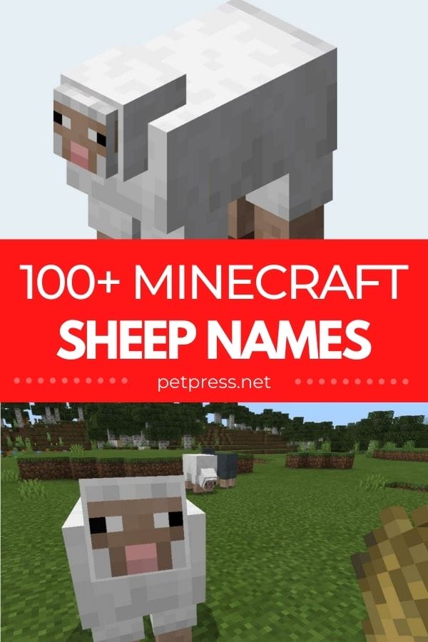 minecraft sheep names