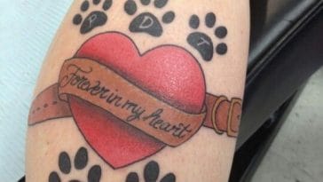pawprint-with-heart