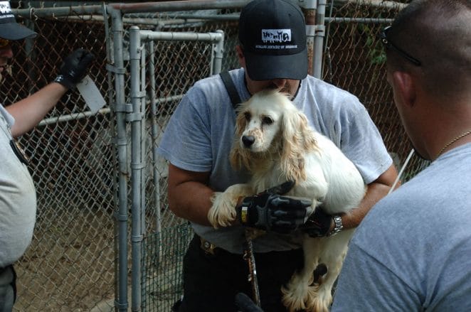 puppy-mill-rescue