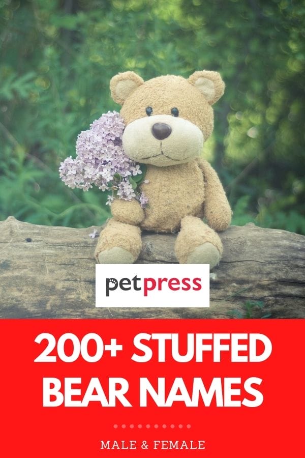 stuffed bear names