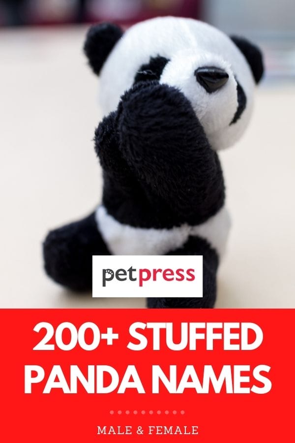 stuffed panda names