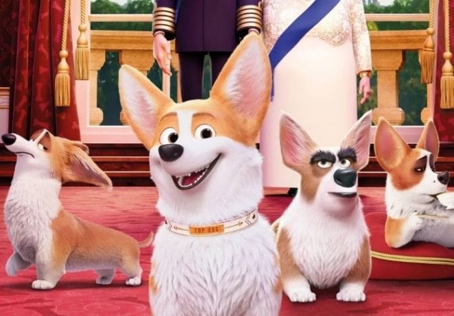 Watch a Corgi movie marathon