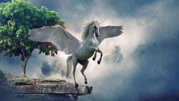 200+ Unicorn Names - The Best Names For This Magical Creature