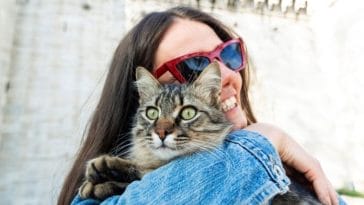 4 Ways to Spoil Your Pet Cat During National Hug Your Cat Day