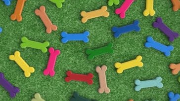 8 Best Dog Bone Printables to Download for Free