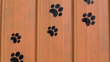 8 Free Dog Paw Printables Download These Fun and Cute Templates