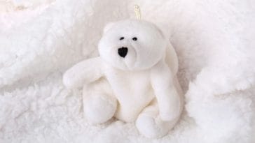 Best 120+ Names For A Stuffed Polar Bear