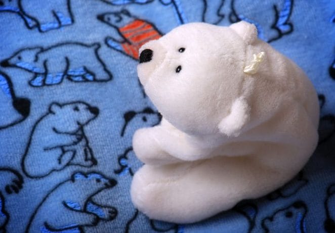 Female Polar Bear Stuffed Animal Names