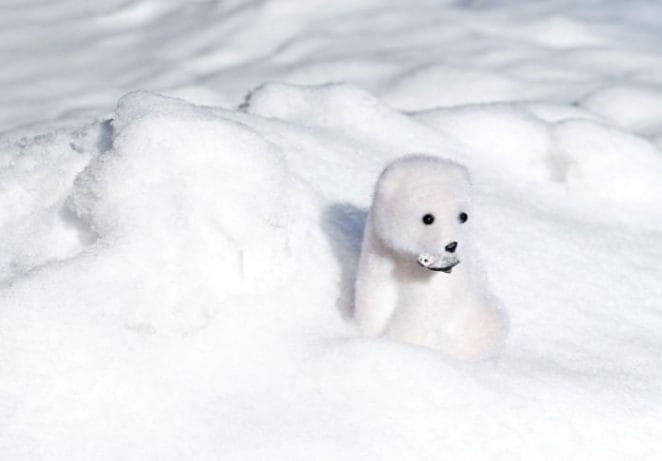 Funny Polar Bear Stuffed Animal Names