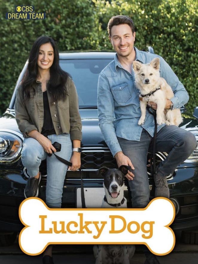 Lucky Dog