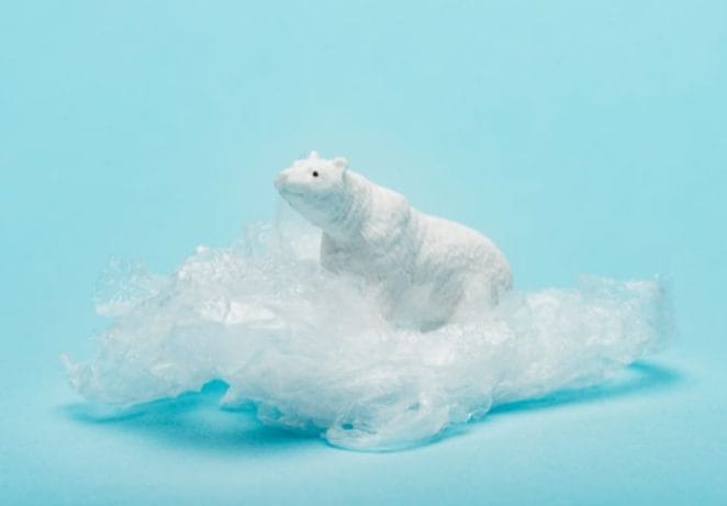 Unique Polar Bear Stuffed Animal Names
