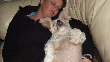 dog-sleeping-bum-facing-on-you