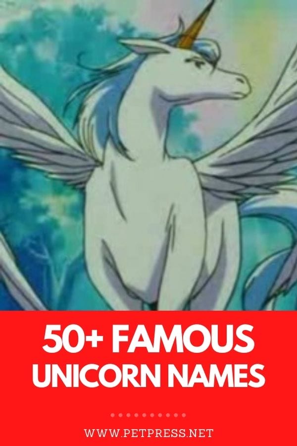 50+ Famous Unicorn Names Famous Unicorns From Pop Culture