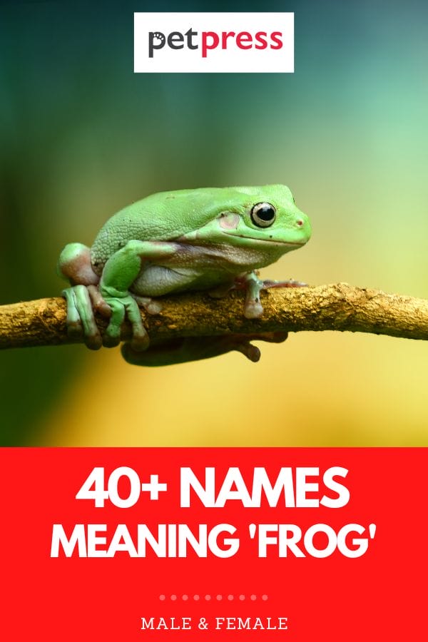 names meaning frog