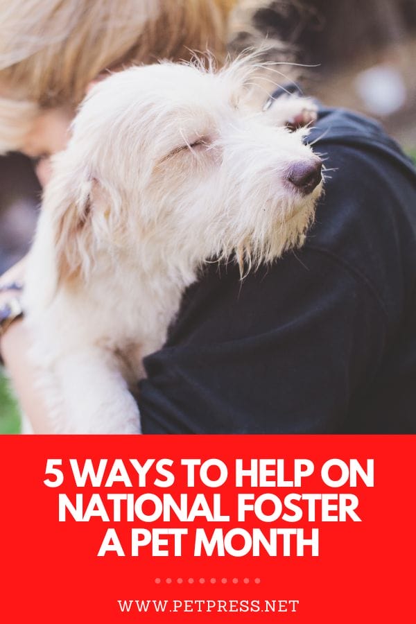 national foster a pet month