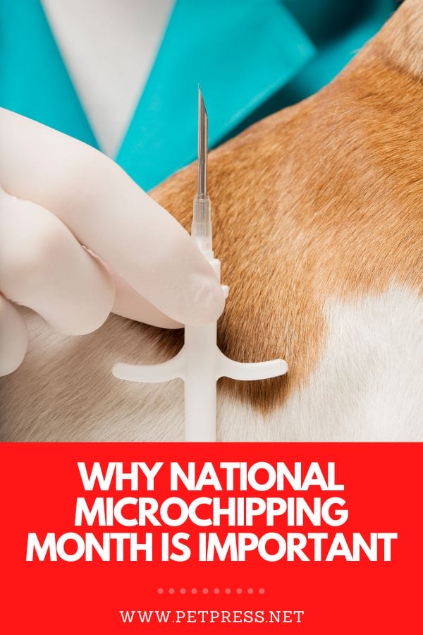 national microchipping month