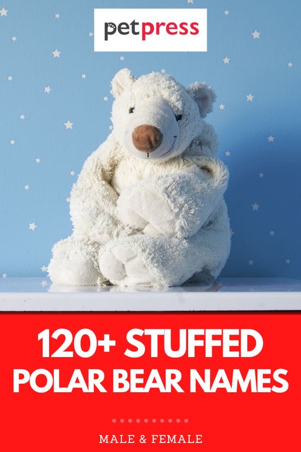stuffed polar bear names