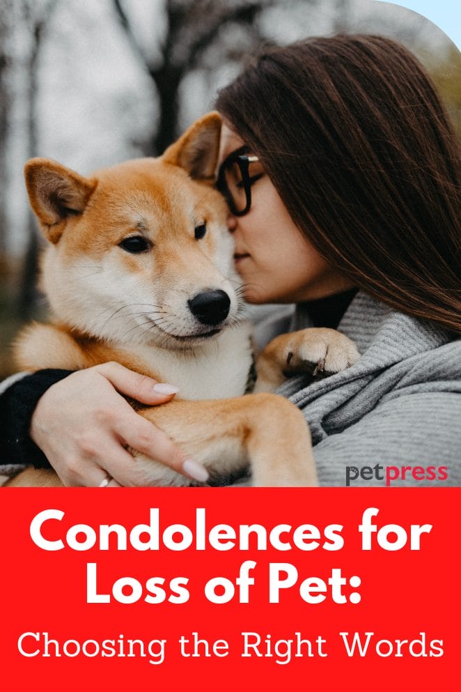 Condolences for loss of pet