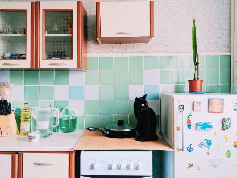 How to keep cats off counters 5 Tried & Tested Ways