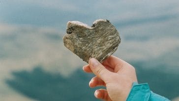 female-pet-rock