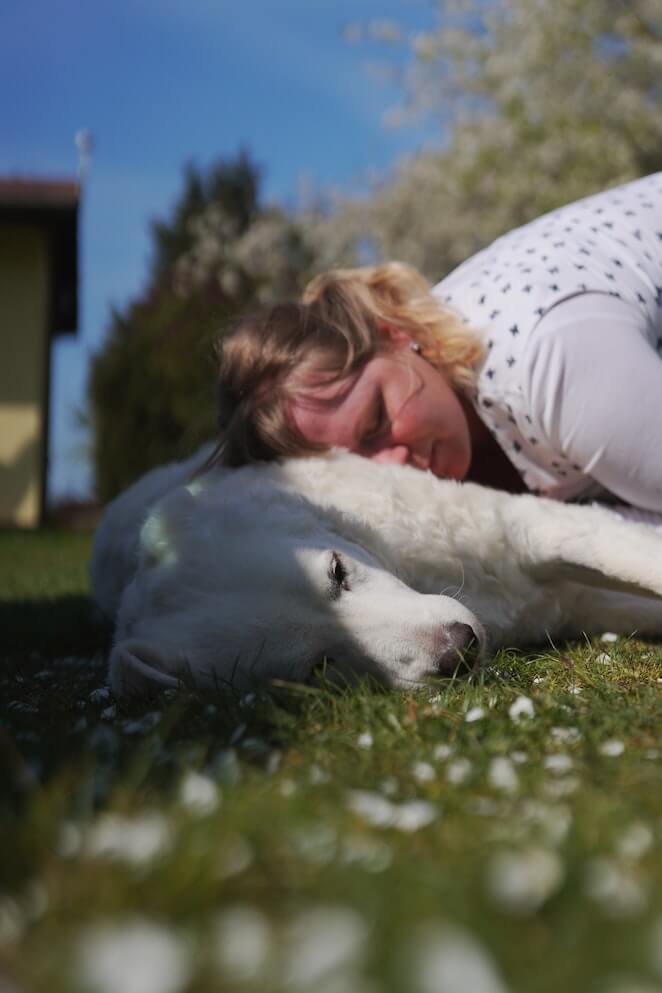 How to bury a dog