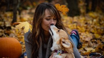 Most affectionate dog breeds