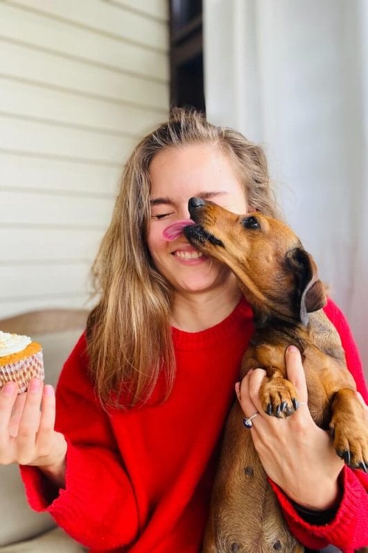 Why Do Dogs Lick You 5 Reasons Behind The Slobbery Kisses