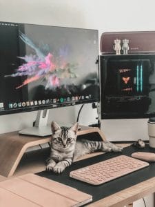 Why does My Cat Follow Me Everywhere: Science of Velcro Cats