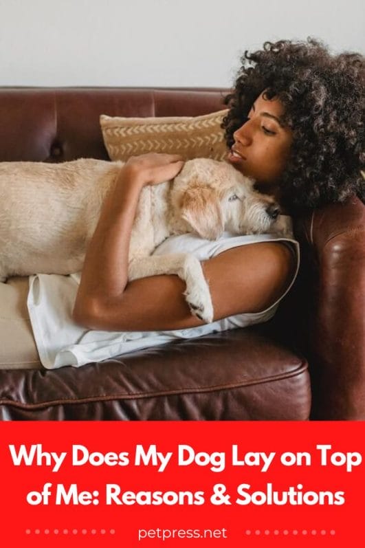 why-does-my-dog-lay-on-top-of-me-reasons-solutions