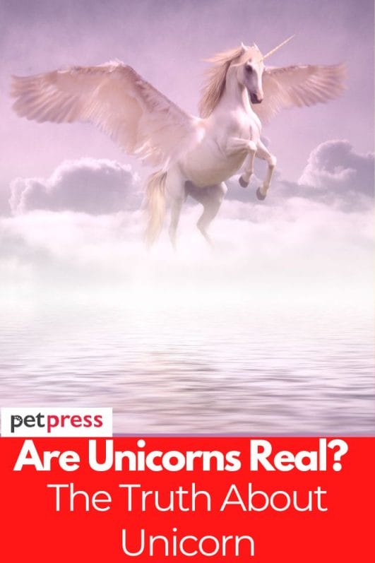 Are Unicorns Real? The Truth About These Mythical Creatures