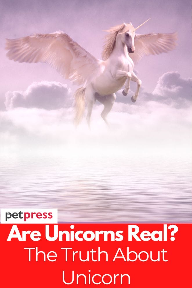 are unicorns real