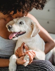 Do Dogs Love Kisses? Surprising Facts About Canine Affection