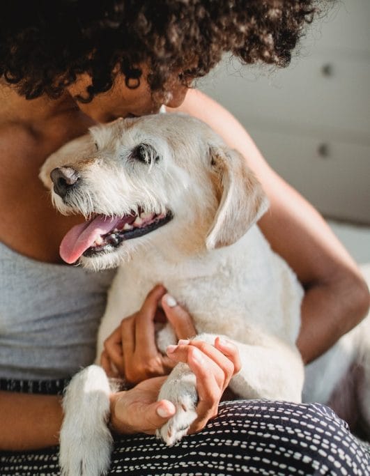 Do Dogs Love Kisses? Surprising Facts About Canine Affection