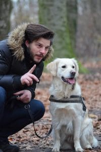 Can Dogs Understand English? Petpress Decodes the Woofs