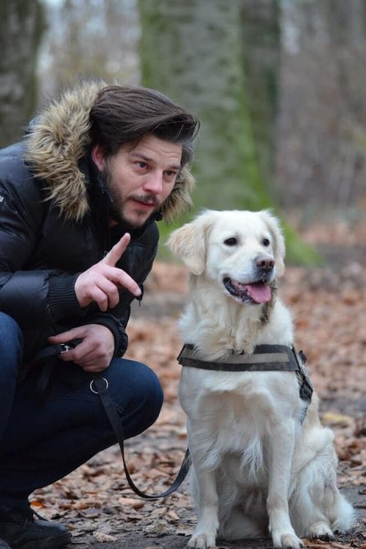 can-dogs-understand-english-petpress-decodes-the-woofs