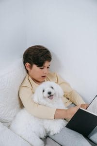 Can Dogs Understand English? Petpress Decodes the Woofs