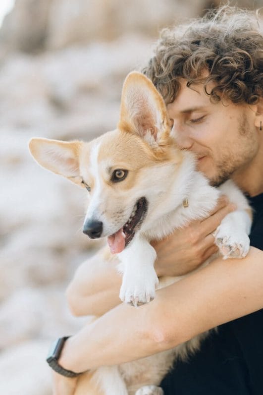 Do Dogs Their Owners? The Heartwarming Truth Behind It!